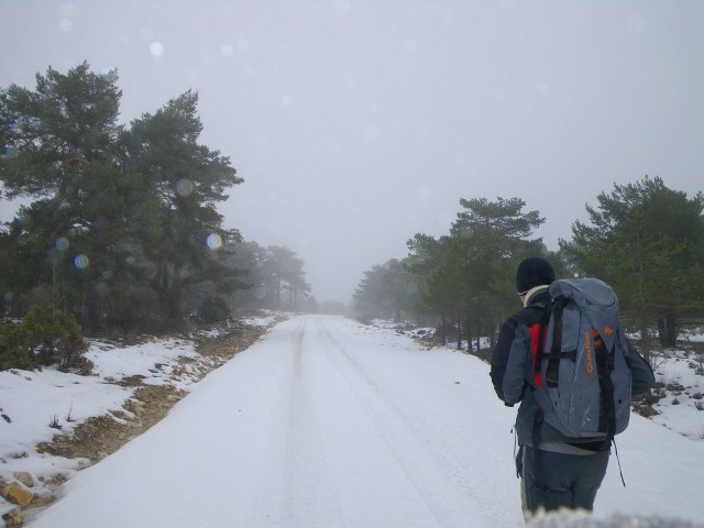 Senderismo invernal